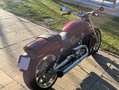 Harley-Davidson V-Rod VRSCF V rod Muscle Rojo - thumbnail 2