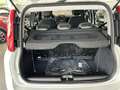 Fiat Panda Panda 1.0 firefly hybrid Km0 Wit - thumbnail 10