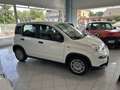 Fiat Panda Panda 1.0 firefly hybrid Km0 Wit - thumbnail 4