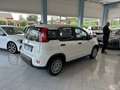 Fiat Panda Panda 1.0 firefly hybrid Km0 Wit - thumbnail 5