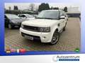 Land Rover Range Rover Sport V6 TD HSE*LEDER*NAVI*XENON*SD* Weiß - thumbnail 1