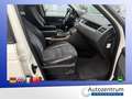 Land Rover Range Rover Sport V6 TD HSE*LEDER*NAVI*XENON*SD* Weiß - thumbnail 8