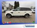 Land Rover Range Rover Sport V6 TD HSE*LEDER*NAVI*XENON*SD* Weiß - thumbnail 15