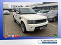Land Rover Range Rover Sport V6 TD HSE*LEDER*NAVI*XENON*SD* Weiß - thumbnail 3