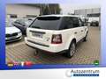 Land Rover Range Rover Sport V6 TD HSE*LEDER*NAVI*XENON*SD* Weiß - thumbnail 2