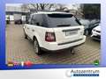 Land Rover Range Rover Sport V6 TD HSE*LEDER*NAVI*XENON*SD* Weiß - thumbnail 4