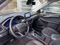 Ford Kuga 2,5 PHEV Titanium X #Klima #Keyfree #Winterpaket Blau - thumbnail 10