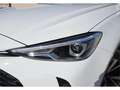 MG ZS Hybrid+ Luxury - thumbnail 17