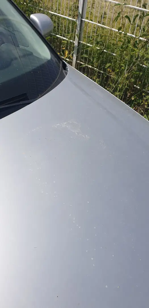 Audi A3 A3 1.6 Argent - 2