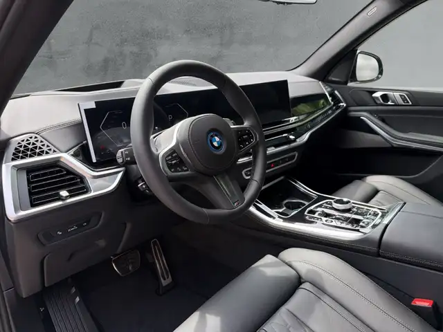 BMW X5 view 9
