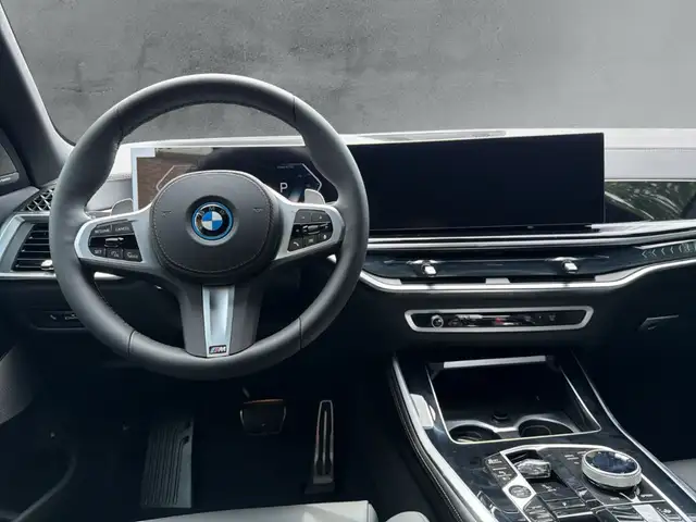 BMW X5 view 10