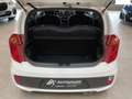 Kia Picanto 1.2 Dream Team Klima Sitzh. Bluetooth Weiß - thumbnail 22