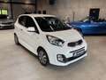 Kia Picanto 1.2 Dream Team Klima Sitzh. Bluetooth Weiß - thumbnail 3