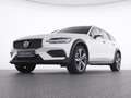 Volvo V60 Cross Country B4  AWD Plus+AHK+WINTERPAK Weiß - thumbnail 7