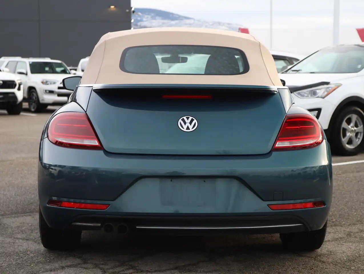 Volkswagen Beetle снимка Volkswagen Beetle