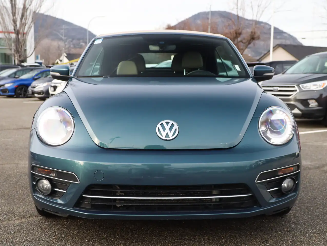 Volkswagen Beetle снимка Volkswagen Beetle