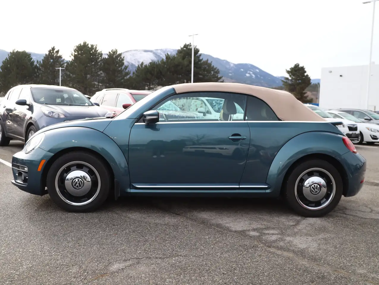 Volkswagen Beetle снимка Volkswagen Beetle