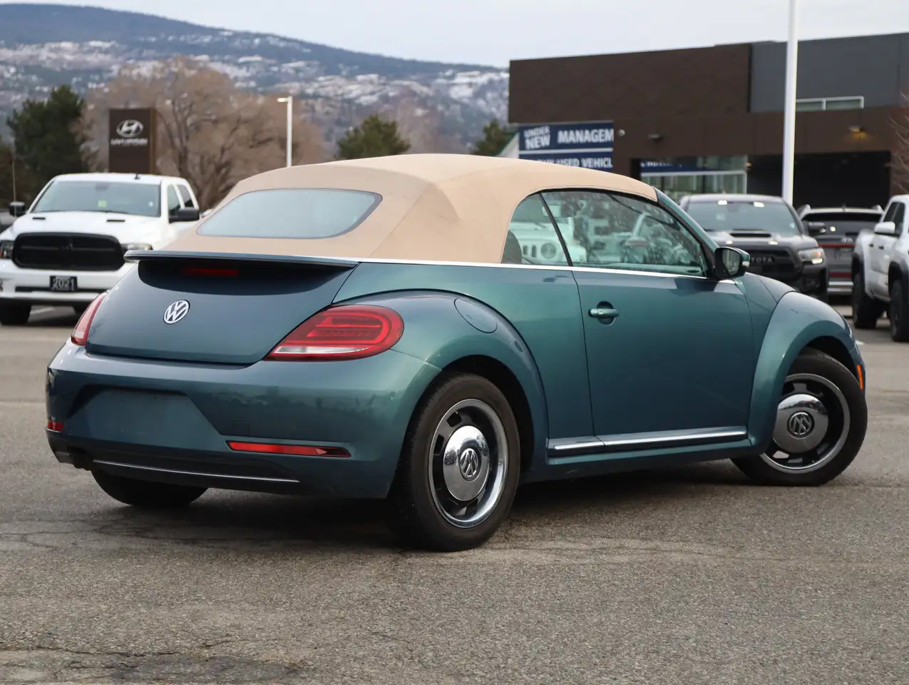 Volkswagen Beetle снимка Volkswagen Beetle