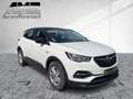 Opel Grandland 1.2 Turbo Business Edition *Anhängerk* Bianco - thumbnail 7