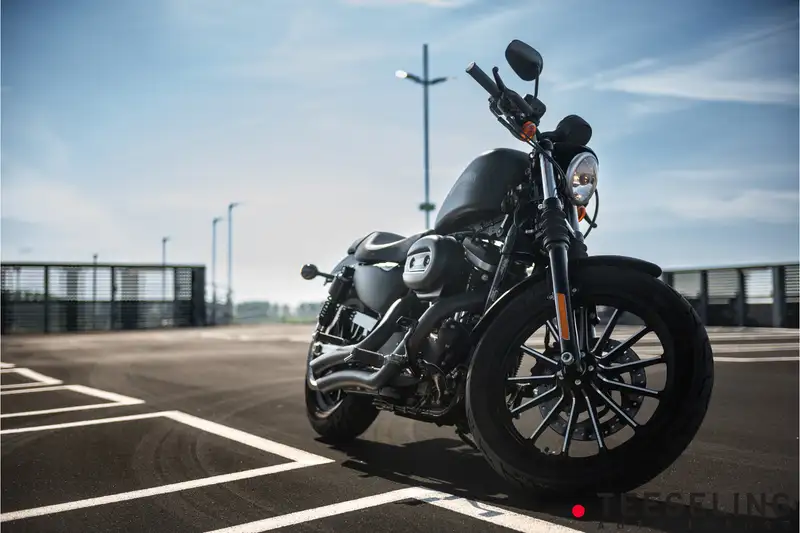 Harley-Davidson Sportster XL 883 - foto 4