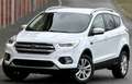 Ford Kuga 1. Hd. Navi Xenon PDC AHK KeyFree Design Paket 2 Blanco - thumbnail 2