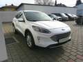 Ford Kuga 2,5 Duratec FHEV Titanium X Aut. Weiß - thumbnail 8