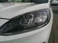 Ford Kuga 2,5 Duratec FHEV Titanium X Aut. Weiß - thumbnail 10