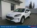 Ford Kuga 2,5 Duratec FHEV Titanium X Aut. Weiß - thumbnail 1