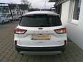 Ford Kuga 2,5 Duratec FHEV Titanium X Aut. Weiß - thumbnail 3