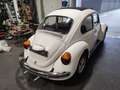 Volkswagen Kever Blanc - thumbnail 7