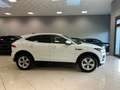 Jaguar E-Pace E-Pace 2.0d i4 mhev SE awd 163cv N1 autocarro - thumbnail 4