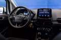 Ford EcoSport 1.0 ecoboost Titanium s&s 125cv my20.25 Bianco - thumbnail 10