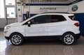 Ford EcoSport 1.0 ecoboost Titanium s&s 125cv my20.25 Bianco - thumbnail 3