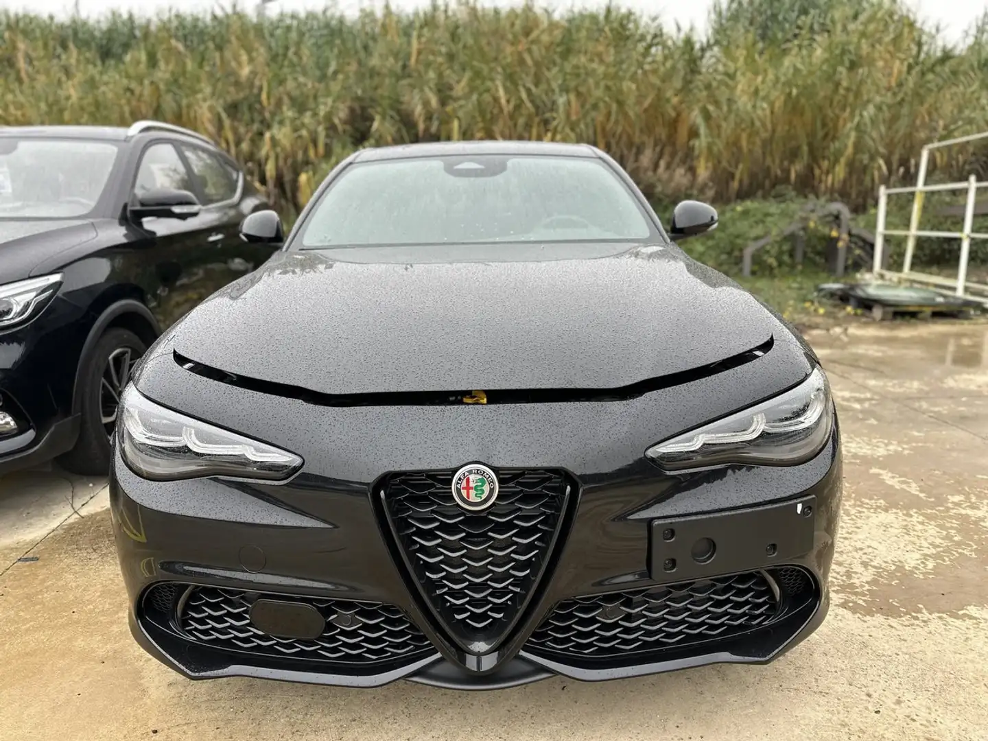 Alfa Romeo Giulia 2.2 Turbodiesel 210 CV AT8 AWD Q4 Veloce Schwarz - 2
