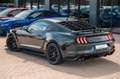Ford Mustang GT 5,0 GT 500 SHELBY RECARO TOP Vert - thumbnail 13