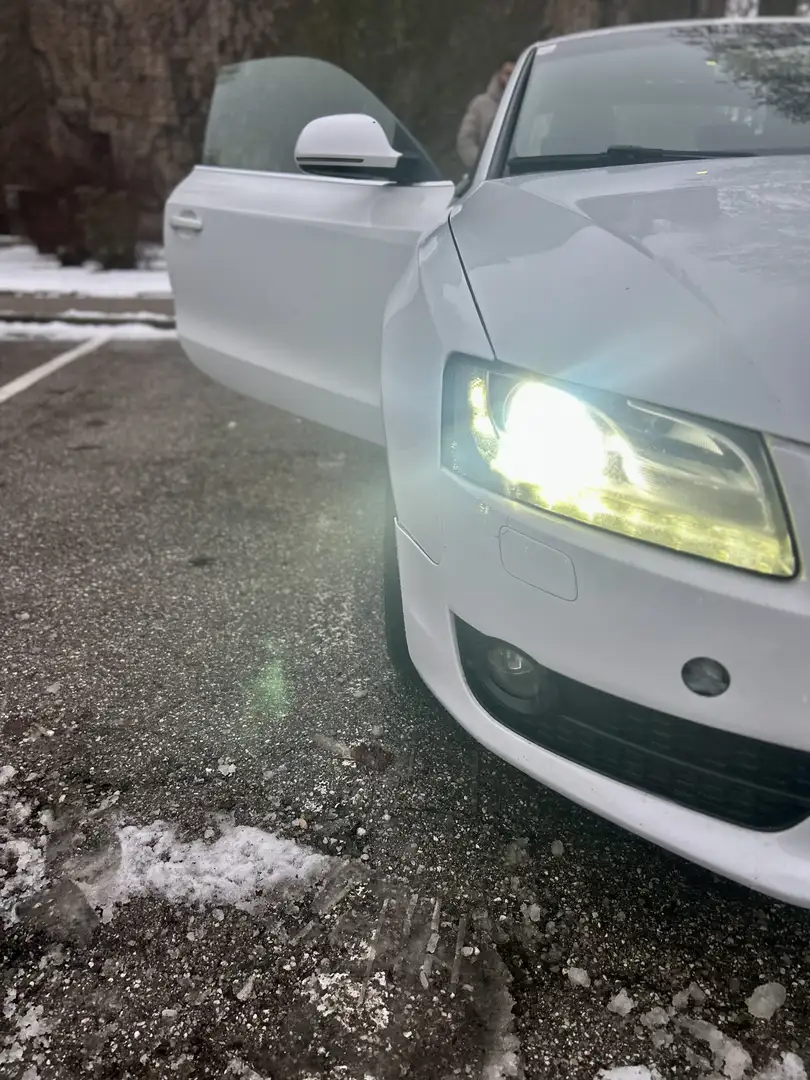 Audi A5 Coupé 3,0 TDI V6 quattro DPF Aut. - 1