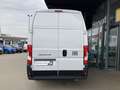Fiat Ducato Ducato 35+ L4H3 BlueHDi 140 S&S Weiß - thumbnail 12