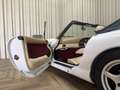 TVR Chimaera 4.0 Cabriolet V8 / 240 PK / Fully Documented / 199 Weiß - thumbnail 10