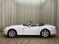 TVR Chimaera 4.0 Cabriolet V8 / 240 PK / Fully Documented / 199 Weiß - thumbnail 5