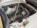 TVR Chimaera 4.0 Cabriolet V8 / 240 PK / Fully Documented / 199 Weiß - thumbnail 22