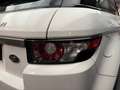 Land Rover Range Rover Evoque Prestige 240 CV Weiß - thumbnail 24