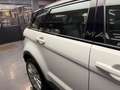 Land Rover Range Rover Evoque Prestige 240 CV Weiß - thumbnail 36