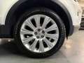 Land Rover Range Rover Evoque Prestige 240 CV Weiß - thumbnail 32