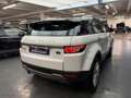 Land Rover Range Rover Evoque Prestige 240 CV Weiß - thumbnail 41