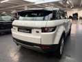 Land Rover Range Rover Evoque Prestige 240 CV Weiß - thumbnail 25