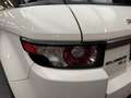 Land Rover Range Rover Evoque Prestige 240 CV Weiß - thumbnail 27