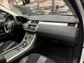 Land Rover Range Rover Evoque Prestige 240 CV Weiß - thumbnail 14
