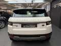 Land Rover Range Rover Evoque Prestige 240 CV Weiß - thumbnail 26