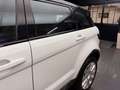 Land Rover Range Rover Evoque Prestige 240 CV Weiß - thumbnail 38