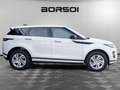Land Rover Range Rover Evoque 2ª serie Range Rover Evoque 2.0D I4 163 CV R-Dyna Weiß - thumbnail 6